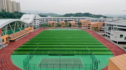 打造重庆市数字化教育“新名片”,广阳湾珊瑚中学凭实力“出圈”!